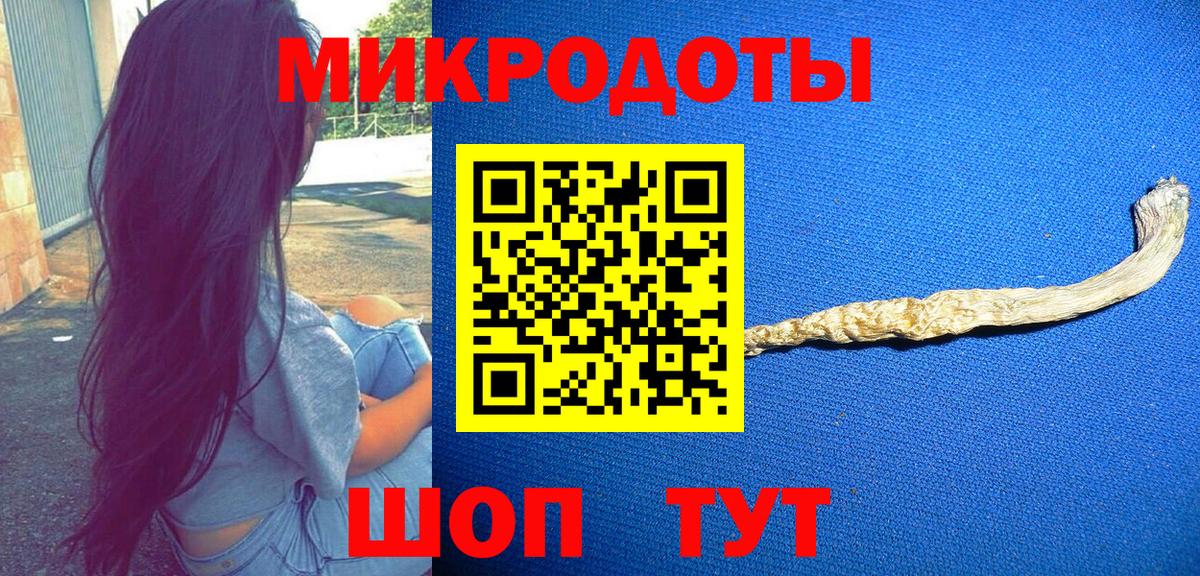Галлюциногенные грибы Psilocybine cubensis Дубна